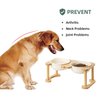 High Base Pet Bowl XSFB-0055