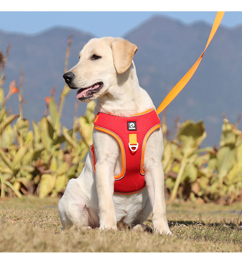 Compact Pet Harness XSPH-0040