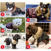 Fashion Thermal Pet Jacket XSCP-0024