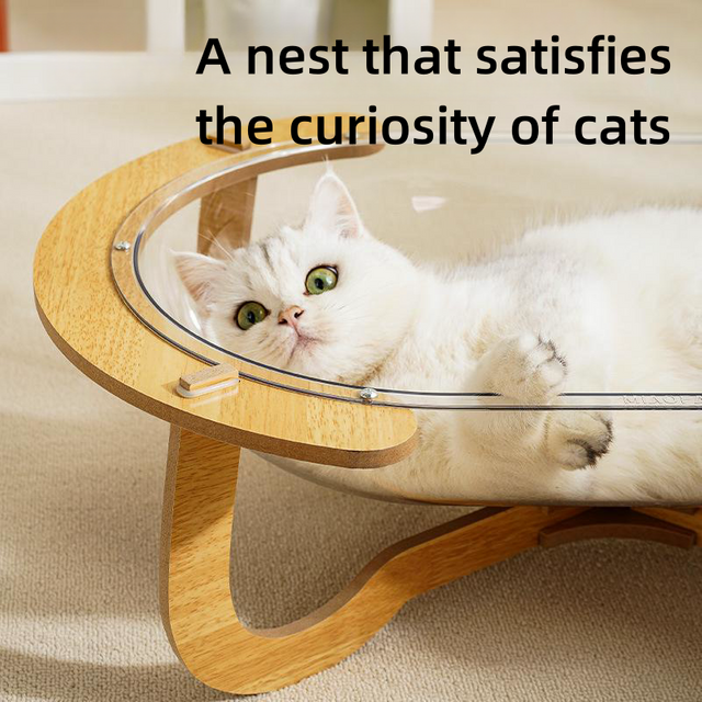 Transparent Pet Bed XSPB-0077