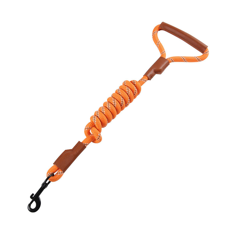Sturdy Nylon Pet Leash XSPL-0008