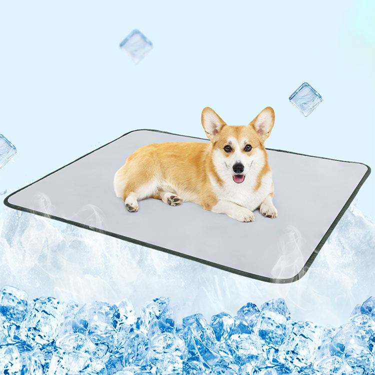 Convenient Pet Diaper Blanket XSTB-0001