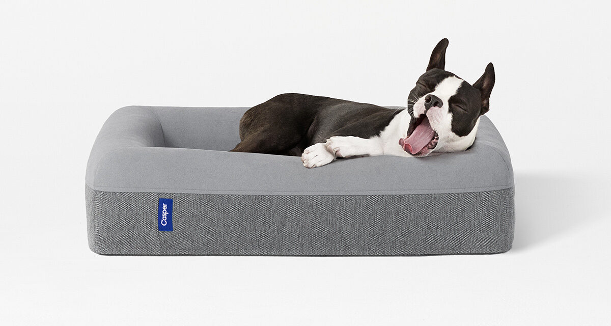 choose the correct pet beds