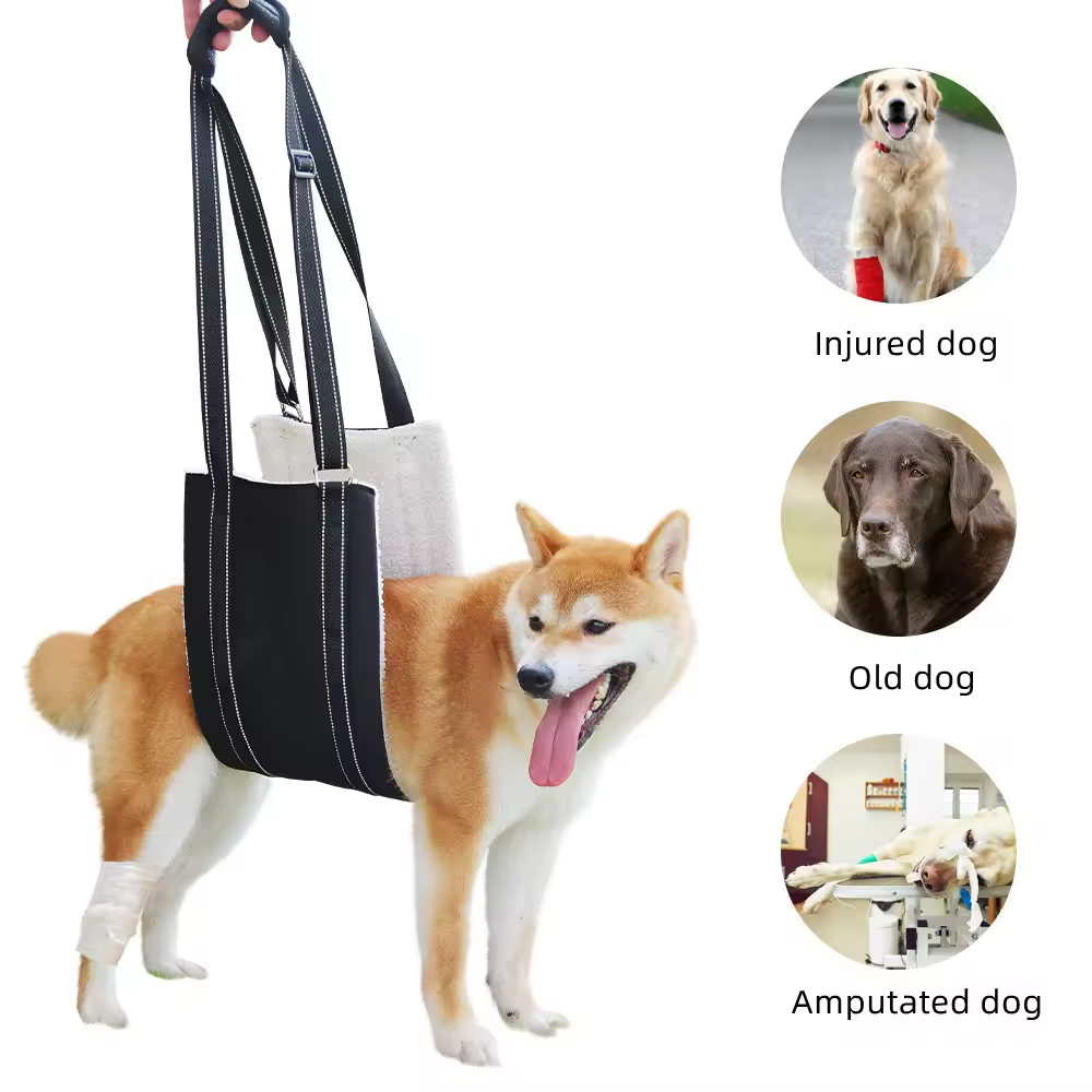 Pet Walking Aid XSTP-0005