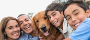 about-pets-people-300x135
