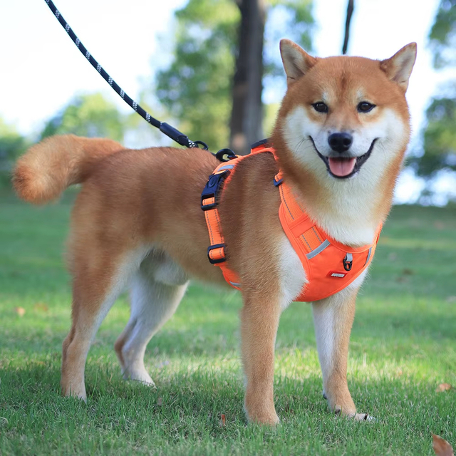 Stable Pet Harness XSPH-0055