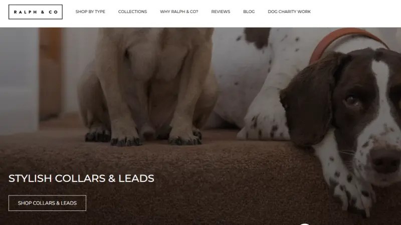 Ralph-Co.-Website (1)