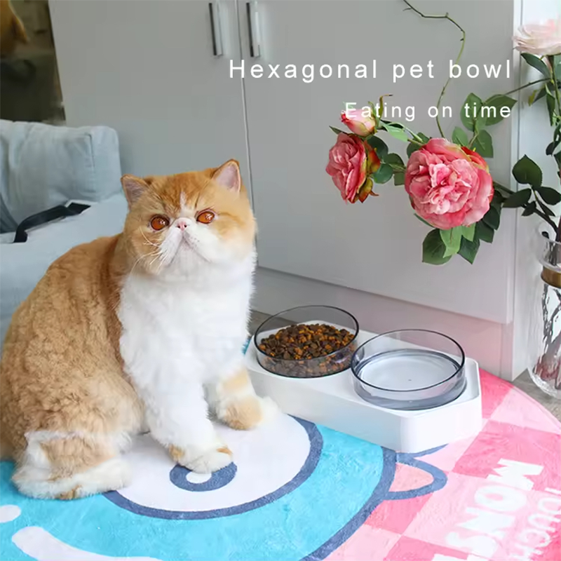 Oblique Angled Pet Bowl XSFB-0001