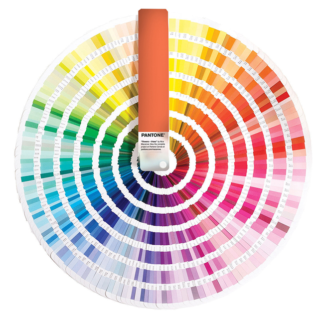 Color-Customization--1