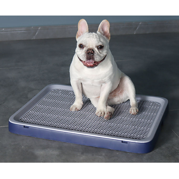 Durable Household Dog Toliet XSPW-0003