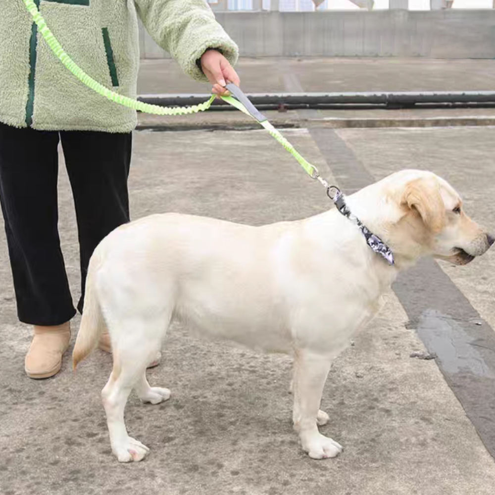 Durable Nylon Pet Leash XSPL-0007