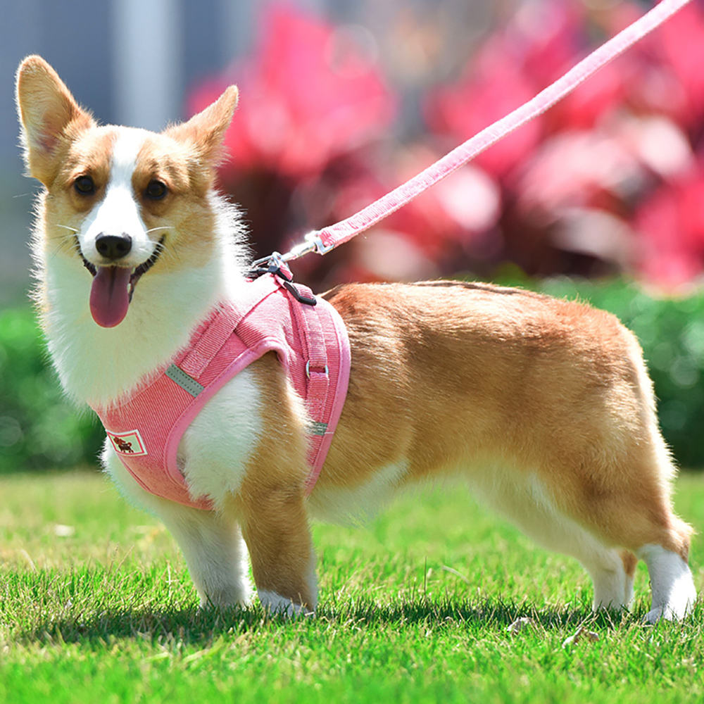 Corduroy Pet Harness XSPH-0043