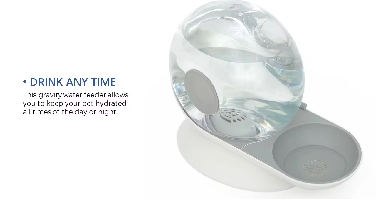 Snail-shaped Pet Water Feeder XSWB-0003