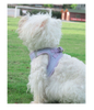 Delicate Pet Harness XSPH-0035