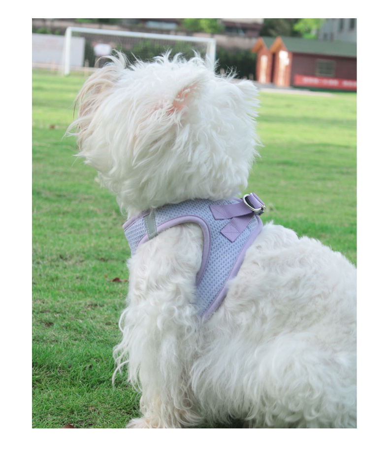 Delicate Pet Harness XSPH-0035