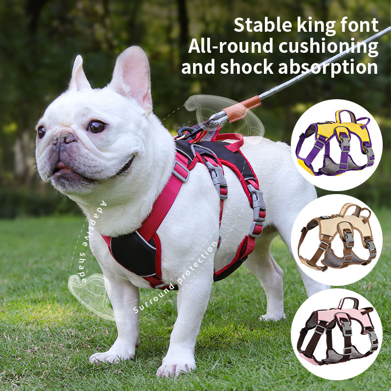 Multi-Wrapped Pet Harness XSPH-0032