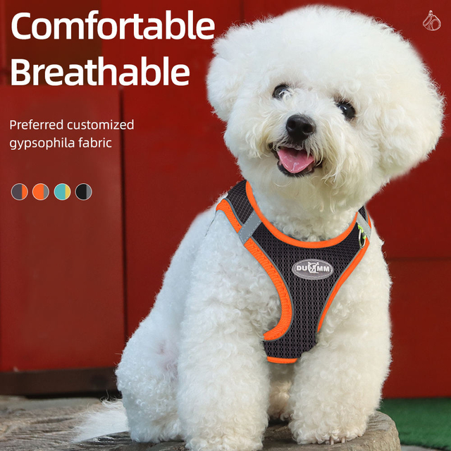 Lightweight Pet Harness XSPH-0028
