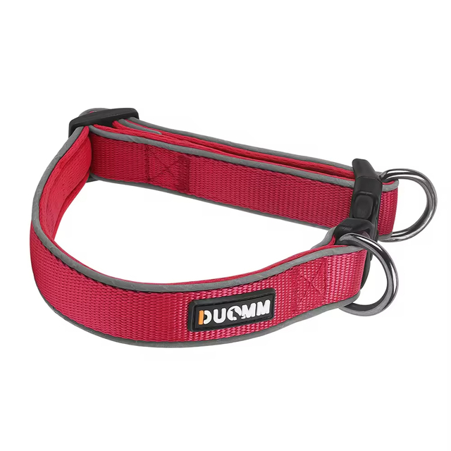 Collier de chien réglable XSCO-0010
