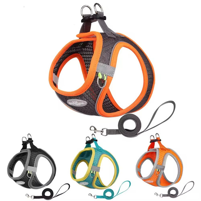 Fais de compagnie confortable XSPH-0066