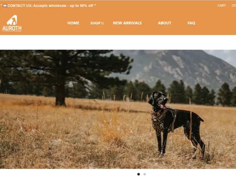 auroth-website