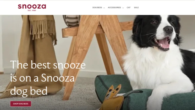 snooza-website (1)