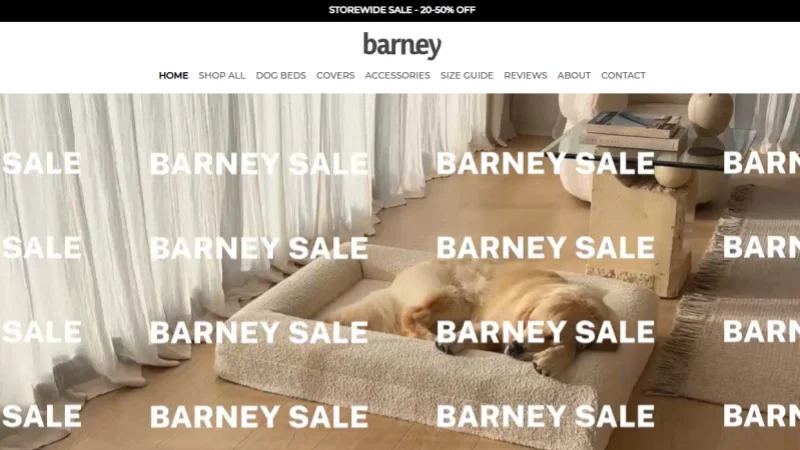 Barney-Bed-Website (1)