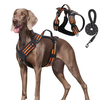 Harnais pour animaux de compagnie XSPH-0060