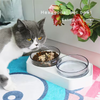 Oblique Angled Pet Bowl XSFB-0001