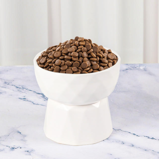High-based Pet Bowl XSFB-0049