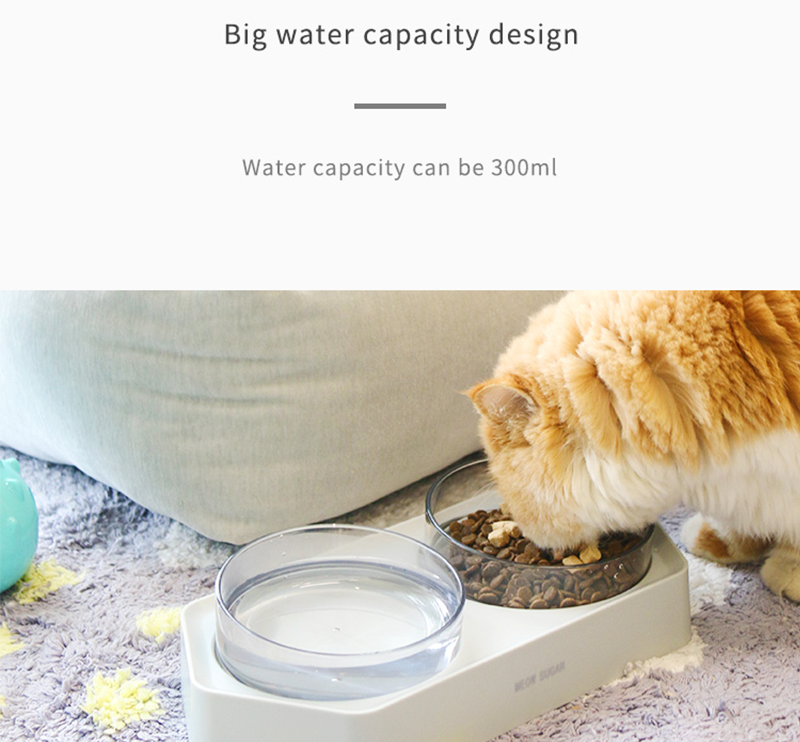 Oblique Angled Pet Bowl XSFB-0001