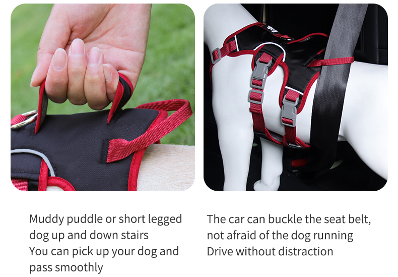 Multi-Wrapped Pet Harness XSPH-0032