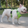 Colorful Pet Harness XSPH-0013