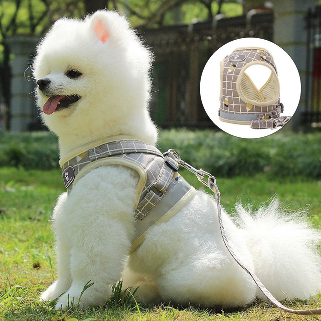 Harnais pour animaux de compagnie durable XSPH-0071