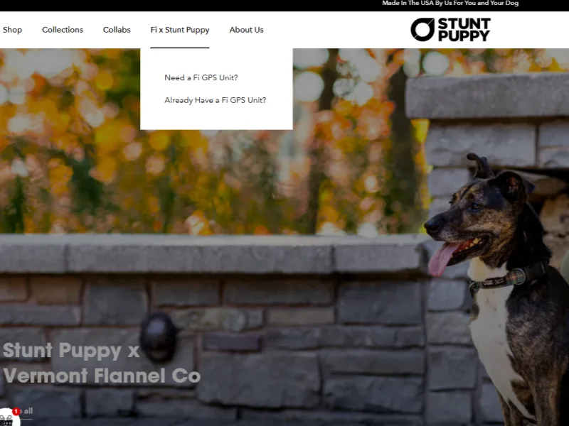stunt-puppy-website