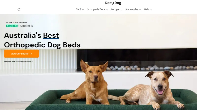 Dazy-dog-website (1)