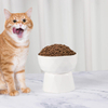 High-based Pet Bowl XSFB-0049
