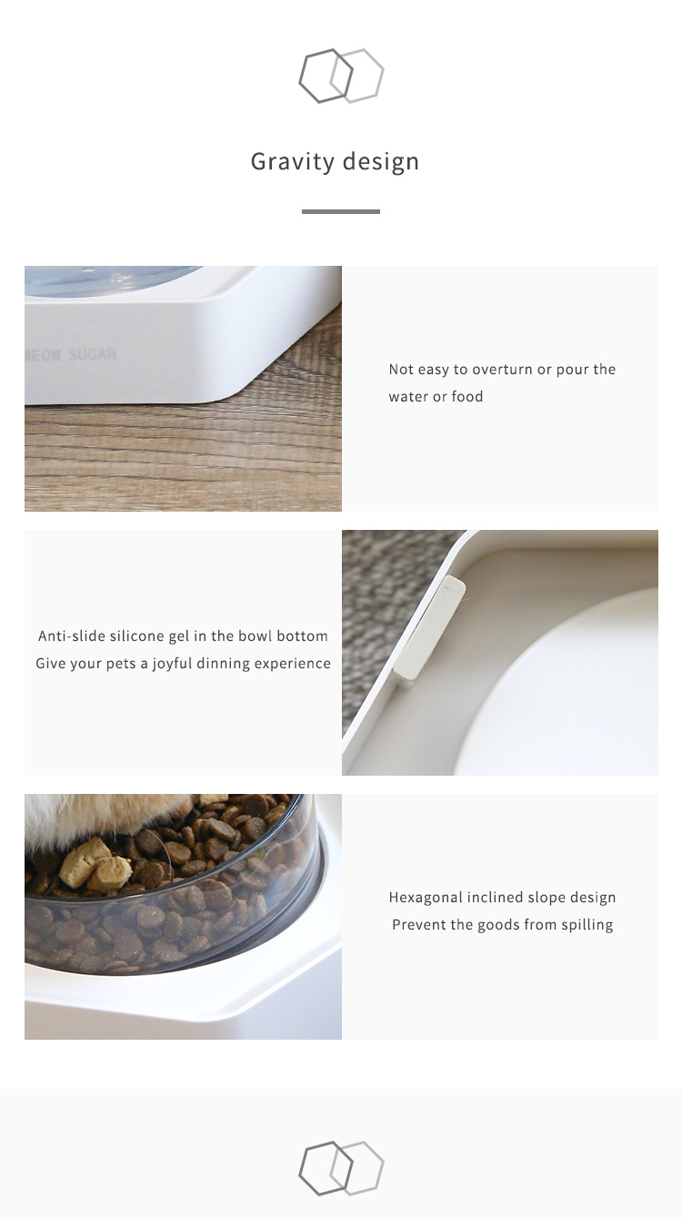 blique Angled Pet Bowl XSFB-0001