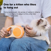 Household Pet Leashes XSPL-0002A