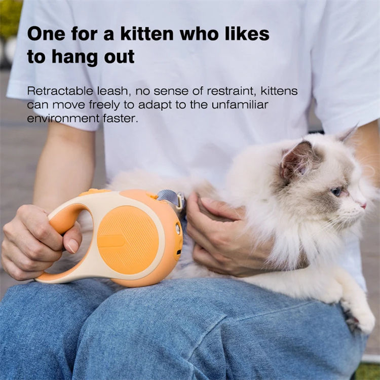 Household Pet Leashes XSPL-0002A