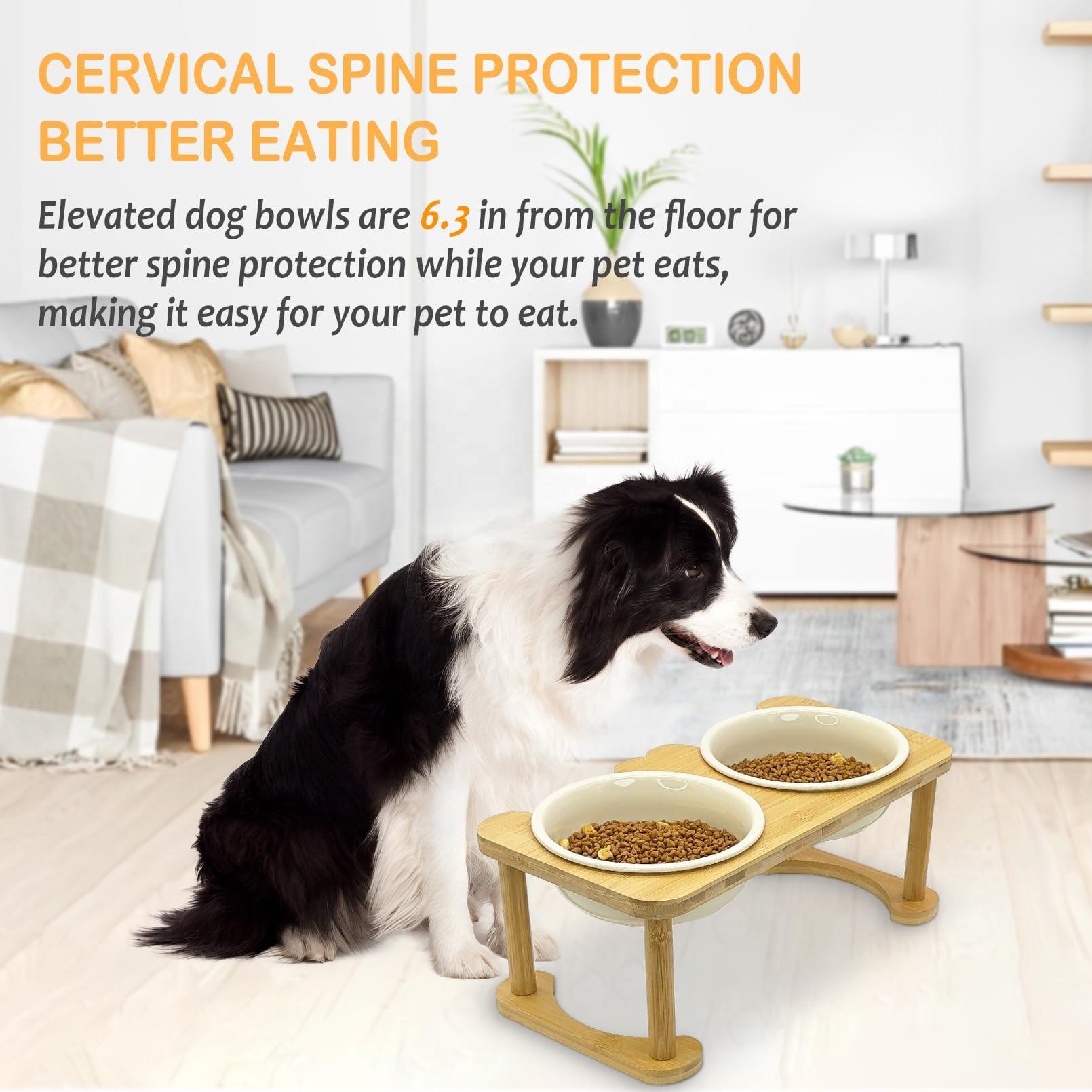 High Base Pet Bowl XSFB-0055