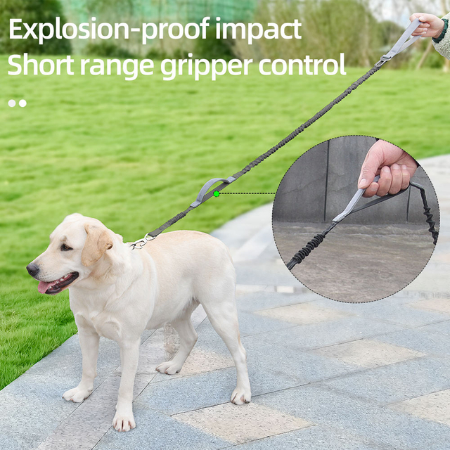 Durable Nylon Pet Leash XSPL-0007