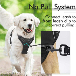 Innovative Pet Harness XSPH-0036