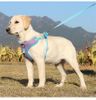 Compact Pet Harness XSPH-0040