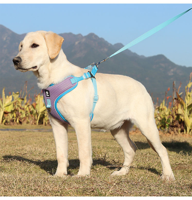 Compact Pet Harness XSPH-0040