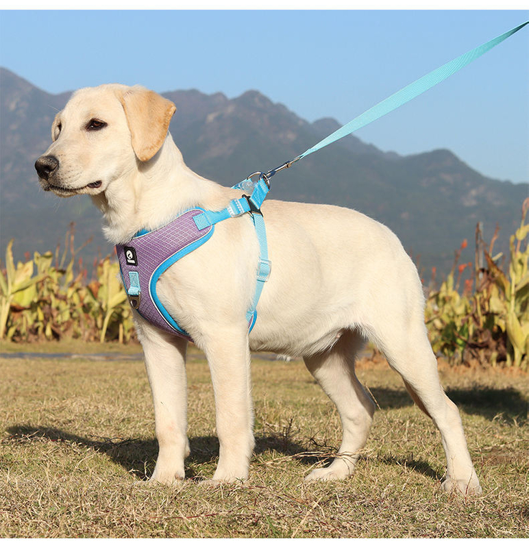 Compact Pet Harness XSPH-0040
