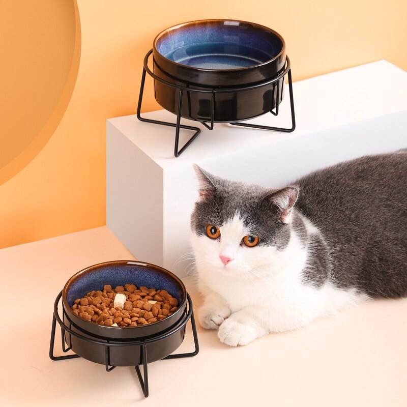 Colorful Pet Bowl XSFB-0038