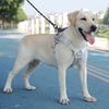 Convenient Pet Harness XSPH-0012