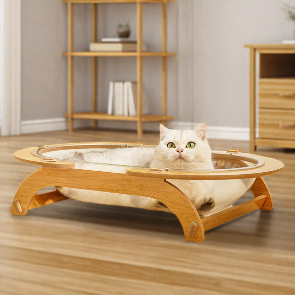 Transparent Pet Bed XSPB-0077