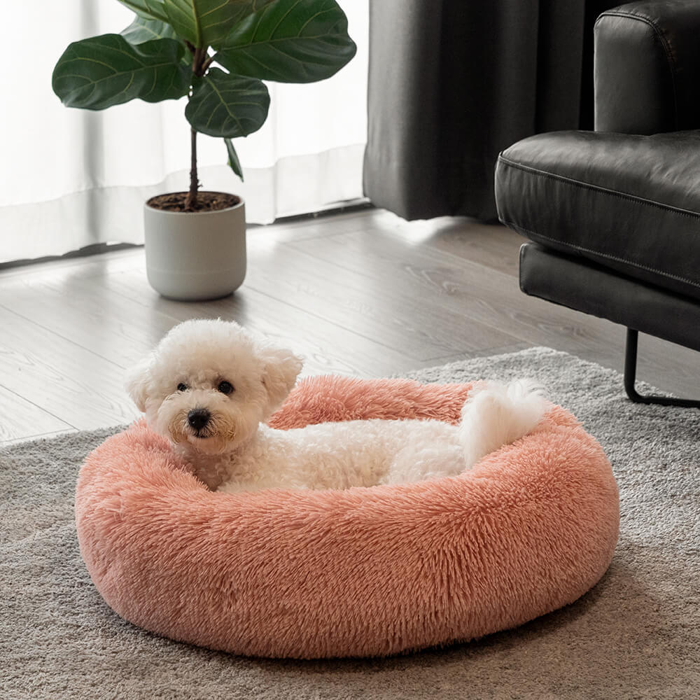 choose the correct pet beds