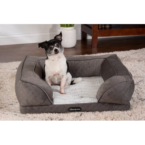 choose the correct pet beds